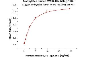 ELISA image for Poliovirus Receptor-Related Immunoglobulin Domain Containing (PVRIG) (AA 41-171) (Active) protein (His tag,AVI tag,Biotin) (ABIN6973210)