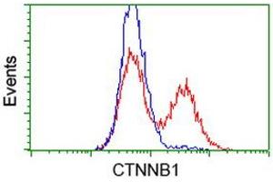 HEK293T cells transfected with either RC208947 overexpress plasmid (Red) or empty vector control plasmid (Blue) were immunostained by anti-CTNNB1 antibody (ABIN2454166), and then analyzed by flow cytometry. (CTNNB1 抗体)