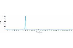 The purity of Anti-MIF Reference Antibody (imalumab) is more than 95 % , determined by SEC-HPLC. (Recombinant MIF (Imalumab Biosimilar) 抗体)