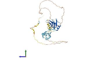 Protein Structure (PS) image for Heterogeneous Nuclear Ribonucleoprotein D-Like (HNRPDL) (AA 1-420) protein (His tag) (ABIN7548347)