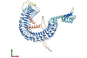 AlphaFold protein structure predicition of Human Recombinant LRRD1 Protein, UniprotID A4D1F6 (LRRD1 Protein (AA 1-860) (His tag))