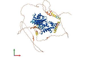 Protein Structure (PS) image for DENN/MADD Domain Containing 1B (DENND1B) (AA 1-775) protein (His tag) (ABIN7553683)