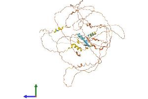 Protein Structure (PS) image for Coiled-Coil Domain Containing 8 (CCDC8) (AA 1-685) protein (His tag) (ABIN7562098)