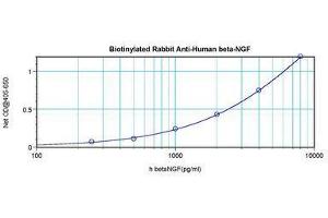 Image no. 1 for anti-Nerve Growth Factor (NGF) antibody (Biotin) (ABIN465708) (Nerve Growth Factor 抗体  (Biotin))