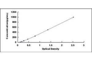 Typical standard curve (ADAM28 ELISA 试剂盒)