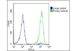 Overlay histogram showing U-2 OS cells stained with (ABIN6244160 and ABIN6578849)(green line).