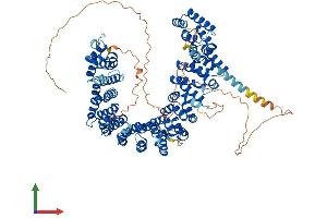 AlphaFold protein structure predicition of Mouse Recombinant Ppp4r4 Protein, UniprotID Q8C0Y0