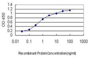 ELISA image for anti-Zinc Finger Protein 281 (ZNF281) (AA 787-893) antibody (ABIN565109)