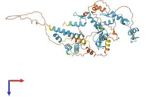 ZNF449 Protein (AA 1-518) (His tag)