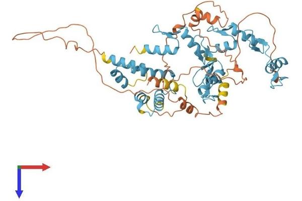 ZNF449 Protein (AA 1-518) (His tag)