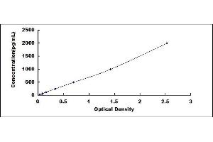 Typical standard curve (Angiopoietin 1 ELISA 试剂盒)