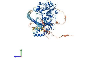 AlphaFold protein structure predicition of Human Recombinant DMPK Protein, UniprotID Q09013