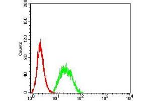 Flow Cytometry (FACS) image for anti-Ubiquitin Fusion Degradation Protein 1 Homolog (UFD1L) (AA 208-307) antibody (ABIN5542401)