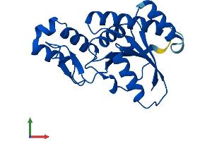 Protein Structure (PS) image for SSU72 RNA Polymerase II CTD Phosphatase Homolog (SSU72) (AA 1-194) protein (His tag) (ABIN7560749)