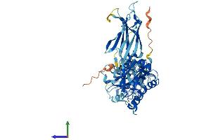 AlphaFold protein structure predicition of Human Recombinant CPNE6 Protein, UniprotID O95741
