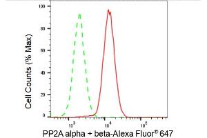 Flow cytometric analysis of PP2A alpha + beta expression in HAP-1 cells using PP2A alpha + beta antibody (ABIN7799891), 1:2,000). (Recombinant PP2A alpha/beta 抗体)