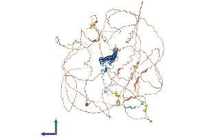 Protein Structure (PS) image for Sin3A-Associated Protein, 130kDa (SAP130) (AA 1-1048) protein (His tag) (ABIN7555609)