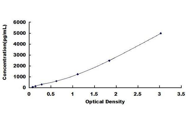 S100A16 ELISA 试剂盒