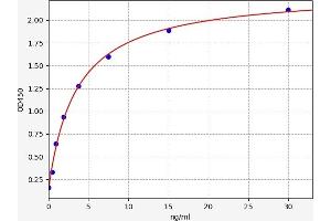 2,5-Oligoadenylate Synthetase(2,5-OAS) ELISA Kit