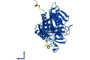 Protein Structure (PS) image for Bile Acid CoA: Amino Acid N-Acyltransferase (Glycine N-Choloyltransferase) (BAAT) (AA 1-418) protein (His tag) (ABIN7552652)
