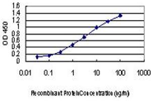 Detection limit for recombinant GST tagged MAP3K4 is approximately 0. (MAP3K4 抗体  (AA 1201-1300))