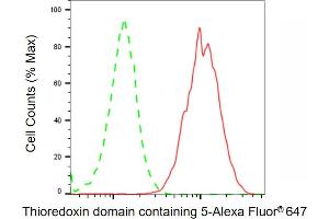 Flow cytometric analysis of Thioredoxin domain containing 5 expression in HT- cells using Thioredoxin domain containing 5 antibody ( (ABIN7800542), 1:2,000). (TXNDC5 抗体)