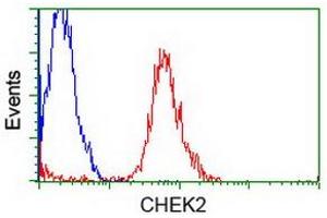 Flow Cytometry (FACS) image for anti-Checkpoint Kinase 2 (CHEK2) antibody (ABIN1497496) (CHEK2 抗体)