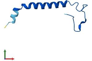 AlphaFold protein structure predicition of Human Recombinant NDUFB1 Protein, UniprotID O75438