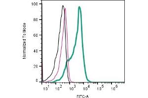 Cell surface detection of CD9 by indirect flow cytometry in  derived exosomes:Exosomes only. (CD9 抗体  (Extracellular))