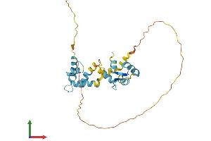 Protein Structure (PS) image for Calcium Binding Protein 4 (CABP4) (AA 1-275) protein (His tag) (ABIN7552754)