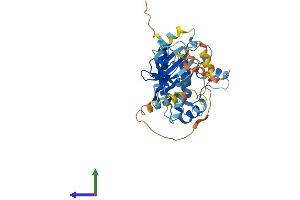 Protein Structure (PS) image for Calcium/calmodulin-Dependent Protein Kinase I (CAMK1) (AA 1-374) protein (His tag) (ABIN7564825)