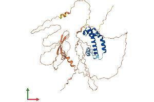 Protein Structure (PS) image for Nuclear Transcription Factor Y, gamma (NFYC) (AA 1-458) protein (His tag) (ABIN7549806)