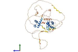 Protein Structure (PS) image for POU Class 3 Homeobox 3 (POU3F3) (AA 1-497) protein (His tag) (ABIN7563116)