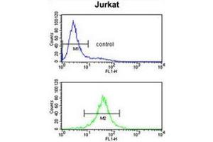 Flow cytometry analysis of Jurkat cells (bottom histogram) compared to a negative control cell (top histogram) using Interleukin-10/IL10 Antibody . (IL-10 抗体  (Middle Region))