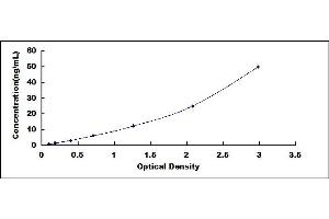 Typical standard curve (KPNB1 ELISA 试剂盒)