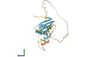 Protein Structure (PS) image for DnaJ (Hsp40) Homolog, Subfamily B, Member 3 (DNAJB3) (AA 1-242) protein (His tag) (ABIN7562374)