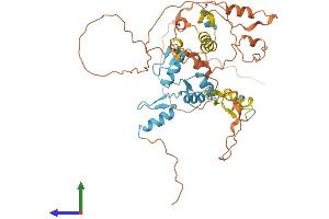 Protein Structure (PS) image for Zinc Finger Protein 641 (ZNF641) (AA 1-438) protein (His tag) (ABIN7545344)