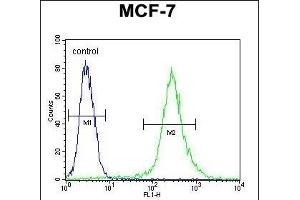 RPS24 Antibody (Center) (ABIN653681 and ABIN2843008) flow cytometric analysis of MCF-7 cells (right histogram) compared to a negative control cell (left histogram).