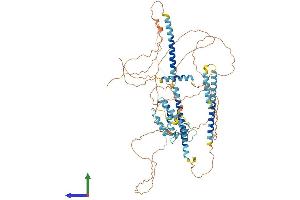 Protein Structure (PS) image for Pre-B-Cell Leukemia Homeobox Interacting Protein 1 (PBXIP1) (AA 1-731) protein (His tag) (ABIN7554893)