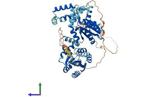 Protein Structure (PS) image for Adenylate Kinase 5 (AK5) (AA 1-562) protein (His tag) (ABIN7560183)