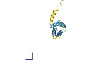 Protein Structure (PS) image for Proteolipid Protein 2 (PLP2) (AA 1-152) protein (His tag) (ABIN7550809)
