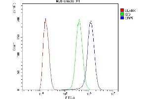 Flow Cytometry analysis of SiHa cells using anti-CD55 antibody (ABIN3043393).