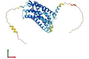 Protein Structure (PS) image for Chemokine (C-X-C Motif) Receptor 3 (CXCR3) (AA 1-367) protein (His tag) (ABIN7562598)