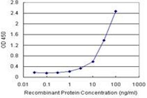 Sandwich ELISA detection sensitivity ranging from 1 ng/mL to 100 ng/mL. (TSC22D3 (人) Matched Antibody Pair)