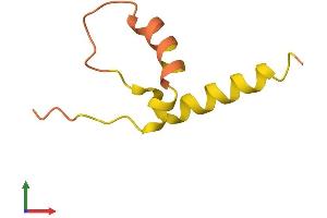 AlphaFold protein structure predicition of Mouse Recombinant Phxr1 Protein, UniprotID P15973