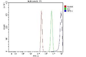 Flow Cytometry analysis of HepG2 cells using anti-RPS14 antibody (ABIN7599005). (RPS14 抗体  (AA 1-151))