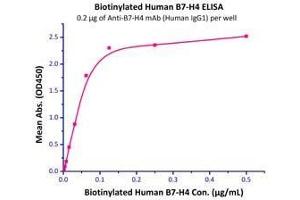 Binding Studies (Bind) image for V-Set Domain Containing T Cell Activation Inhibitor 1 (VTCN1) (AA 29-258) (Active) protein (His tag,Biotin) (ABIN2870528)