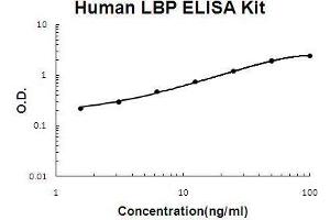 Human LBP PicoKine ELISA Kit standard curve (LBP ELISA 试剂盒)