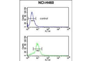 Flow cytometric analysis of NCI-H460 cells (bottom histogram) compared to a negative control cell (top histogram).