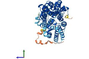 Protein Structure (PS) image for Solute Carrier Family 2 (Facilitated Glucose Transporter), Member 1 (SLC2A1) (AA 1-492) protein (His tag) (ABIN7548111)